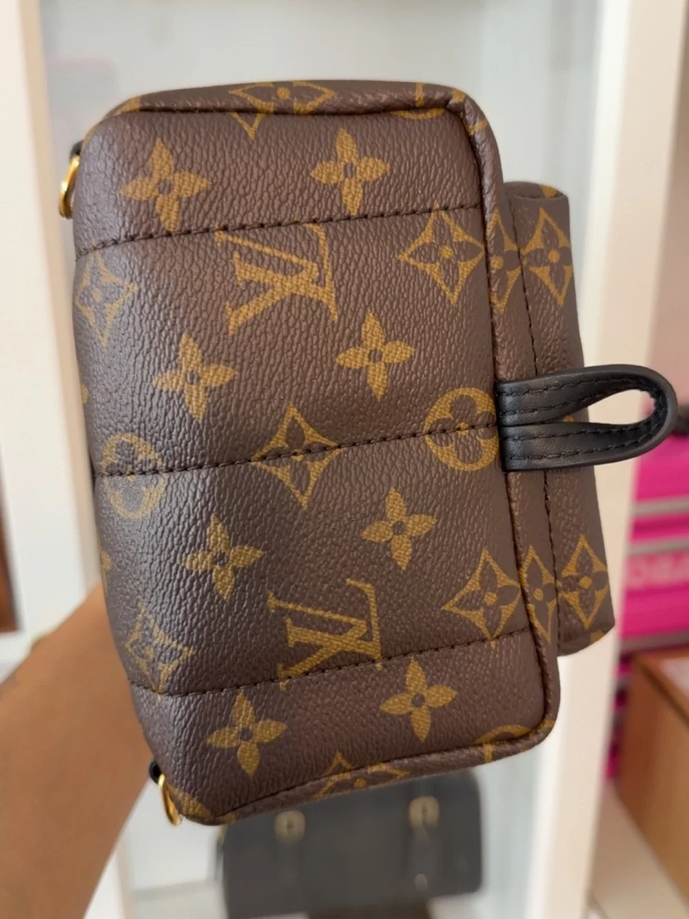 Louis Vuitton Monogram Canvas Palm Springs Mini Backpack